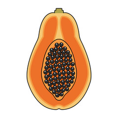 Illustration Of A cut Papaya