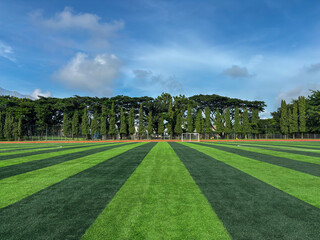 Pristine artificial turf soccer field with alternating light and dark green stripes, surrounded by tall cypress trees and enclosed with fencing under a blue sky. © nia