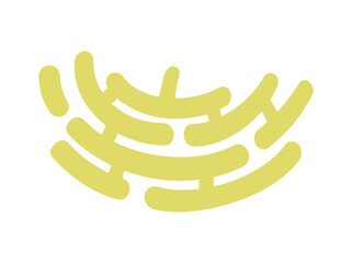 Obraz premium Endoplasmic Reticulum Cell Anatomy Illustration