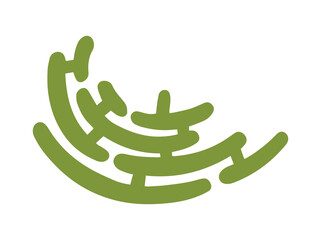 Structure Endoplasmic Reticulum Cell Anatomy