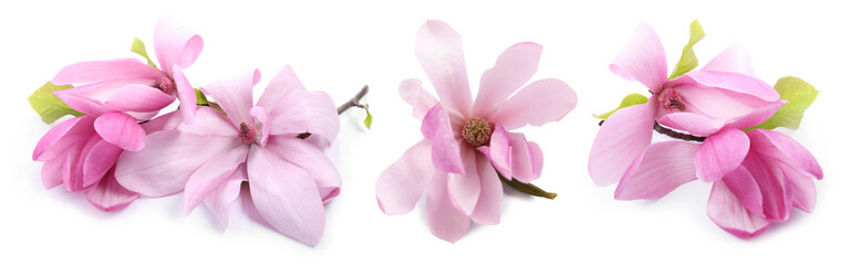 Beautiful magnolia flowers isolated on white, set © New Africa