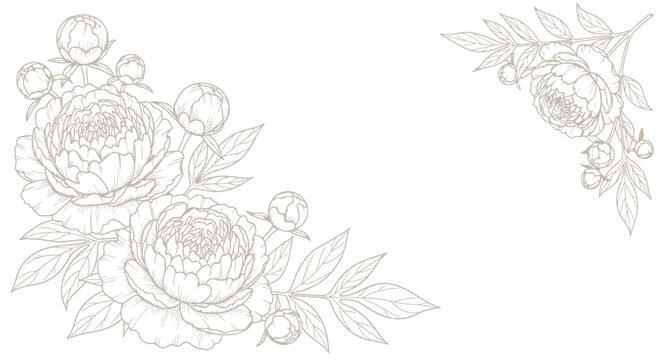 Delicate floral corner design with elegant peonies and leaves in line art style.