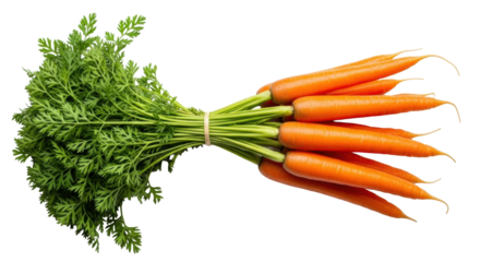 A neatly bundled arrangement of vibrant orange carrots with bright green leafy tops, showcasing natural textures on a transparent background with ample copy space. Concept of healthy eating and