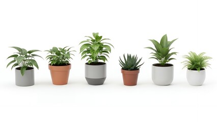 Fototapeta premium Assortment of Six Various Green Houseplants in Pots on a Clean White Background for Home Decoration
