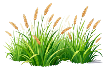 Green Grass with Wheat Ears Illustration