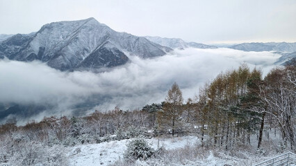 아름다운 눈 덮인 겨울 산