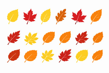 Obraz premium Colorful Autumn Leaves Pattern