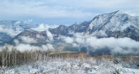 아름다운 눈 덮인 겨울 산