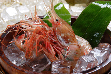 ボタンエビのお造り