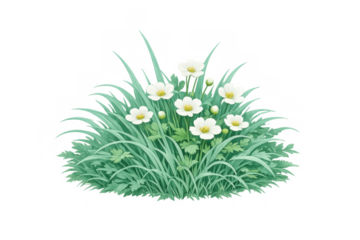 Wild white flowers blooming surrounded by green grass and leaves, growing in a nature garden bush on transparent background