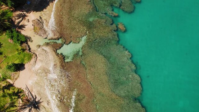 Aerial view of coral reef and small secluded beach with palm trees on Caribbean coast of Costa Rica