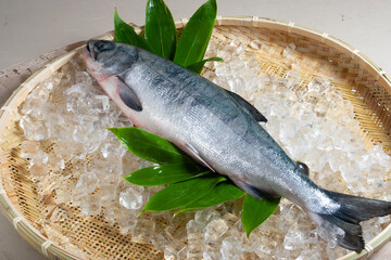 鮭｜サーモンFresh Salmon