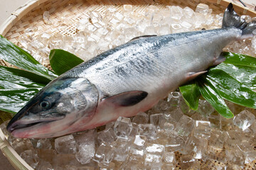 新鮮な鮭（サーモン）