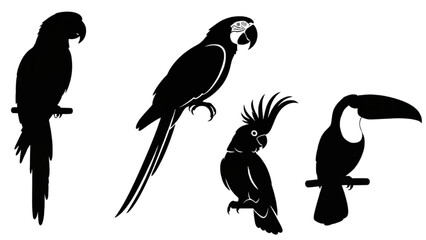 Fototapeta premium Silhouette illustrations of exotic parrots and toucan perched on branches