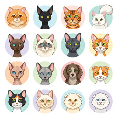 Fototapeta premium Collection of cute and sweet cat icons, vector illustration, isolated on transparent background