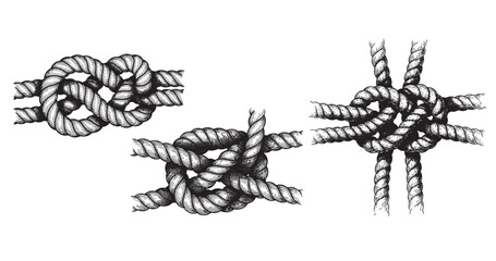 Marine rope knot engraving illustration for nautical branding © Gabut Stock