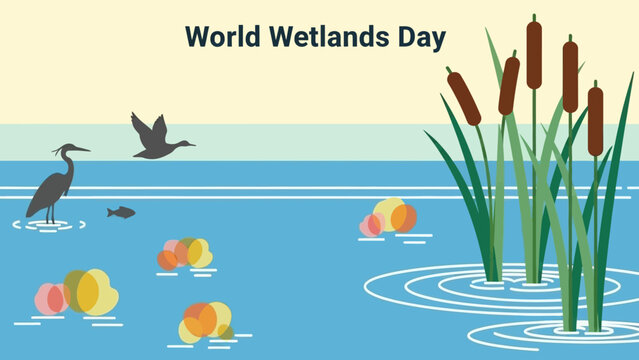 Illustration of Cattails and Birds in Wetlands.
