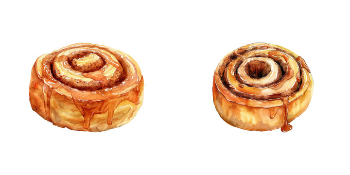 cinnamon roll watercolor vector illustration