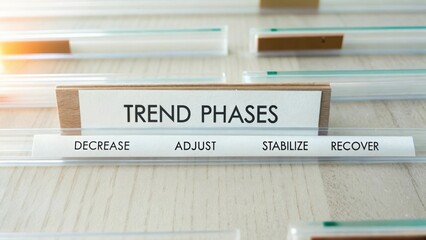 Conceptual Representation of Trend Phases in Business Strategy: Decrease, Adjust, Stabilize, Recover