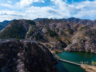 The Great Wall in spring, the mountains are full of flowers, the Great Wall and the lake