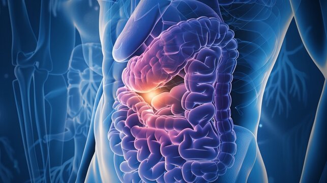 Current Advances in Diagnosis, Treatment, and Prognosis of Bile Duct Cancer: A Comprehensive Review