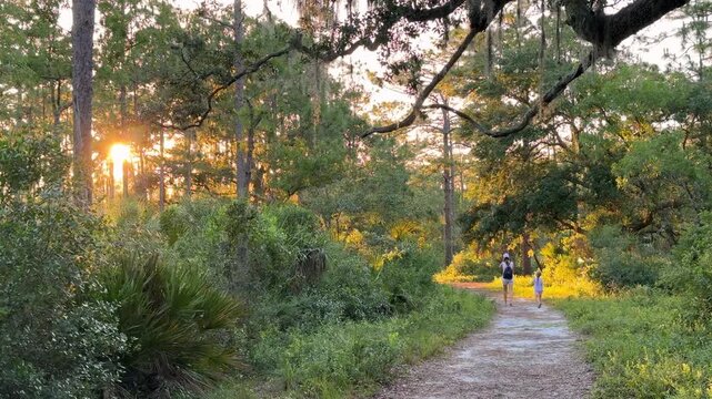 A mother and child hike a quiet path through a lush forest at golden hour. Sunlight glows through trees and Spanish moss along the rustic trail.