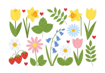 Vibrant spring botanical arrangement featuring tulips daffodils daisies and bluebells isolated on transparent background