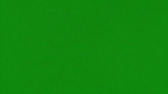 Green canvas: A captivating expanse of solid, vivid green, providing a perfect backdrop for limitless creative expression.  Its simplicity and vibrancy create an open invitation for imagination.