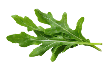 Fresh green arugula leaves with water droplets on black background rocket salad, Png On White Background, Isolated on Transparent Background, Cut Out
