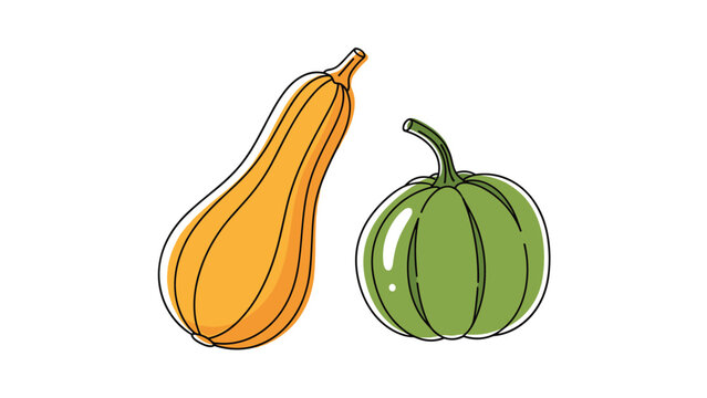 A simple and charming hand-drawn illustration of a butternut squash and a green kabocha squash with a sketchy black outline style.
