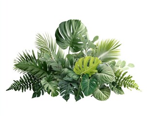 Lush assortment of assorted green jungle foliage, isolated on white background