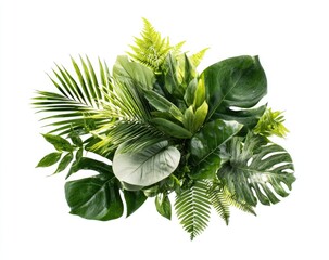 Lush arrangement of tropical leaves and foliage on pure white background