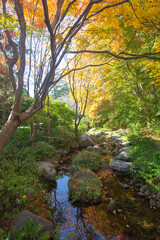 Beautiful Autumn landscape in a park. Tachikawa, Tokyo, Japan