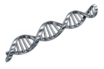 Dna double helix structure forming metallic silvery spiral, representing genetics, biotech, innovation, and scientific discovery