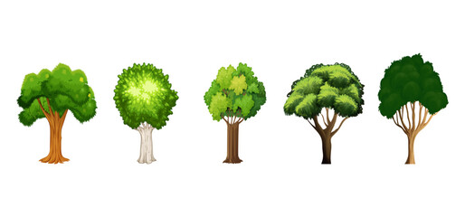 Tree Vector Illustration Collection Featuring Tropical and Orchard Trees with Mango, Apple, Banana, Orange, Coconut Palm and More Isolated on White Background, Colorful Tree Vector Illustration