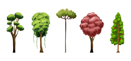 Tree Vector Illustration Collection Featuring Tropical and Orchard Trees with Mango, Apple, Banana, Orange, Coconut Palm and More Isolated on White Background, Colorful Tree Vector Illustration