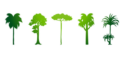 Tree Vector Illustration Collection Featuring Tropical and Orchard Trees with Mango, Apple, Banana, Orange, Coconut Palm and More Isolated on White Background, Colorful Tree Vector Illustration