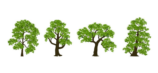 Tree Vector Illustration Collection Featuring Tropical and Orchard Trees with Mango, Apple, Banana, Orange, Coconut Palm and More Isolated on White Background, Colorful Tree Vector Illustration