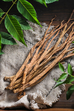 Angelica Root Traditional Medicine Wellness Poster Background