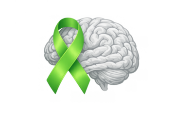 Human brain with green ribbon representing mental health awareness, support, and psychological well-being concept on transparent background