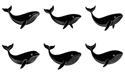 Six black and white whale silhouettes with detailed line on transparent background whales