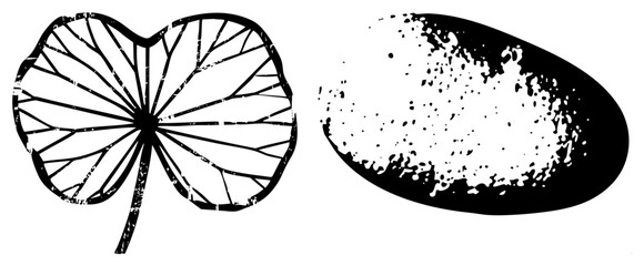 Stylized Lotus Leaf and Speckled Stone Vector Illustration