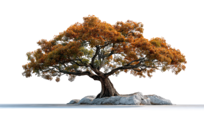 The Lone Sentinel: A solitary tree, adorned with vibrant autumnal foliage, stands resolute, its roots anchored in a bed of stone, under a clear, bright sky. 