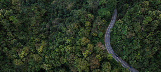 Electric vehicle driving through lush forest road from above, representing environmental responsibility and sustainable mobility.