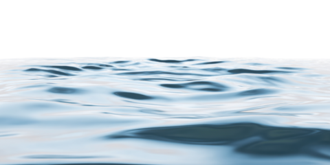 Water's Gentle Embrace: A close-up view of the water's surface, where ripples dance in the sun, creating a mesmerizing display of serenity and calm. 