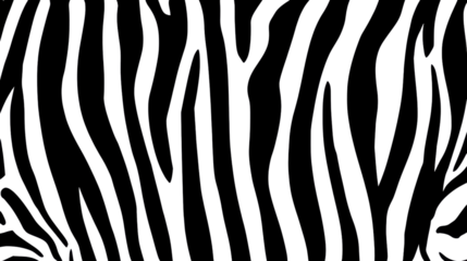 Zebra Stripes: A close-up view of the iconic black and white stripes, creating a striking visual texture. 