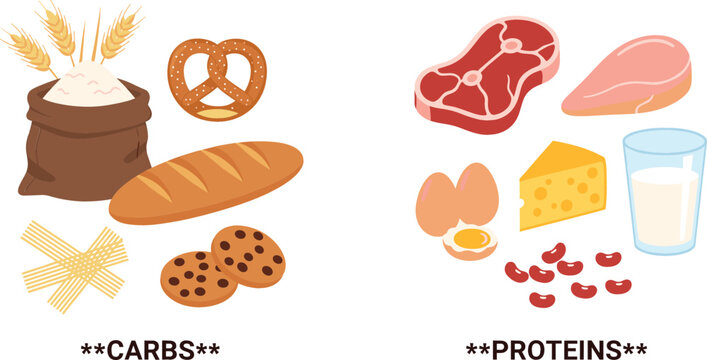 Educational flat vector illustration comparing healthy food groups featuring carbohydrates like bread and pasta versus protein sources including meat eggs and dairy.