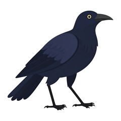 Illustration of a sleek, dark-colored crow in a side profile