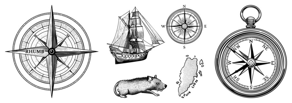 Vintage Nautical Compasses and Ship Illustration with Rodent and Island Map