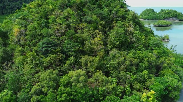 Aerial drone FPV panning right from the dense forest covered hill to reveal the famous group of islet in Tinagong Dagat, an ecotourism destination in Sipalay, Negros Occidental, Philippines